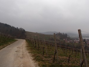 ortenberg_hay_04.jpg